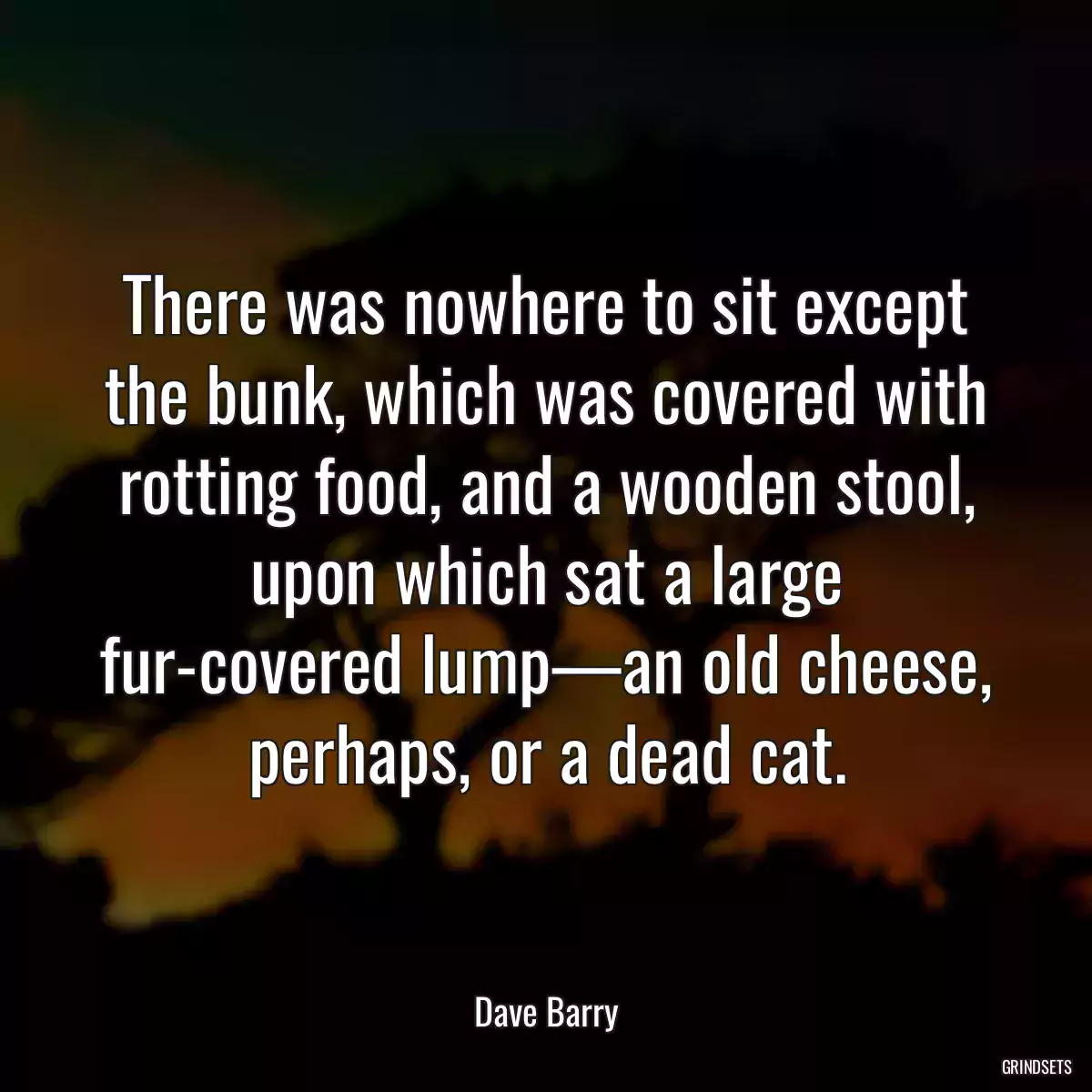 There was nowhere to sit except the bunk, which was covered with rotting food, and a wooden stool, upon which sat a large fur-covered lump—an old cheese, perhaps, or a dead cat.