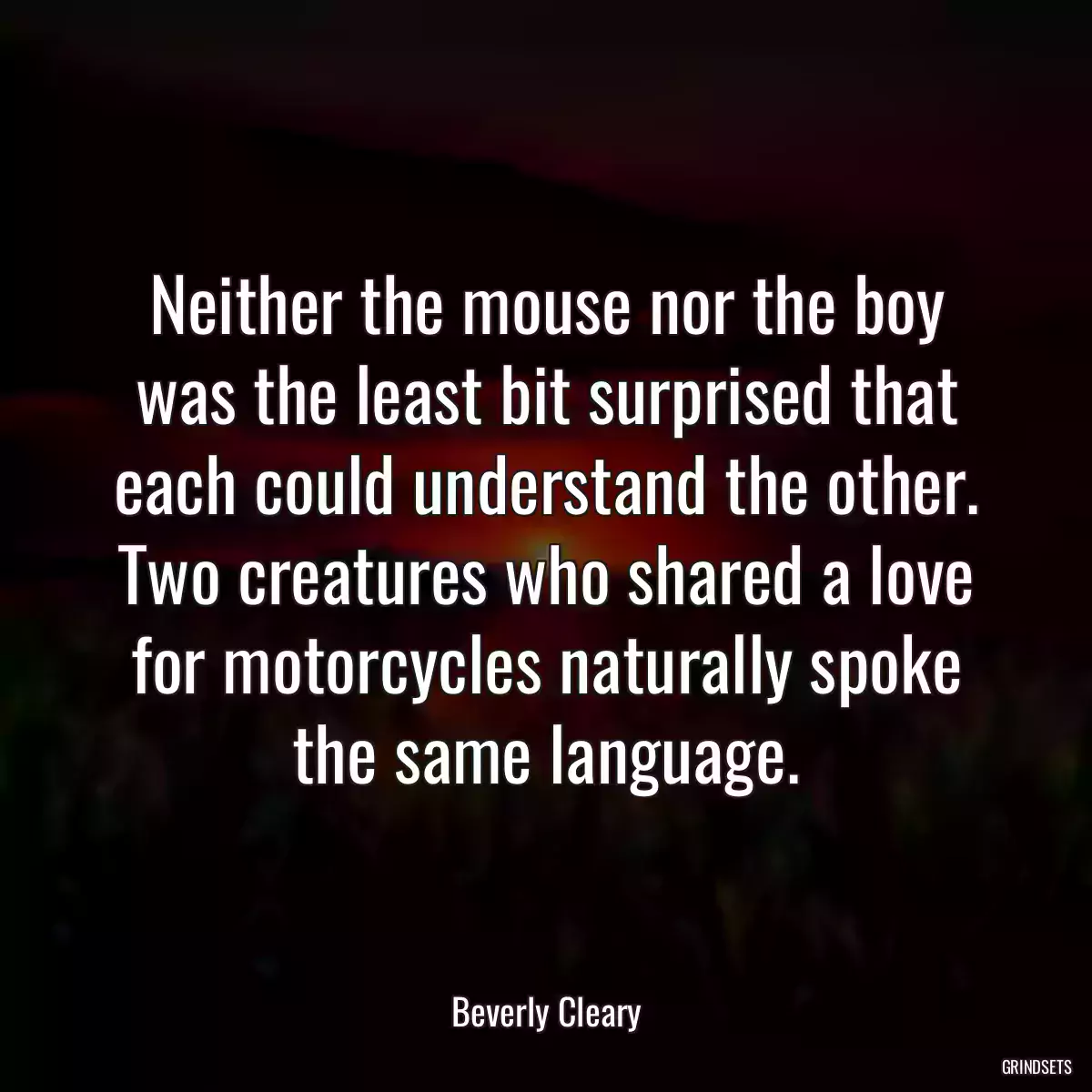 Neither the mouse nor the boy was the least bit surprised that each could understand the other. Two creatures who shared a love for motorcycles naturally spoke the same language.