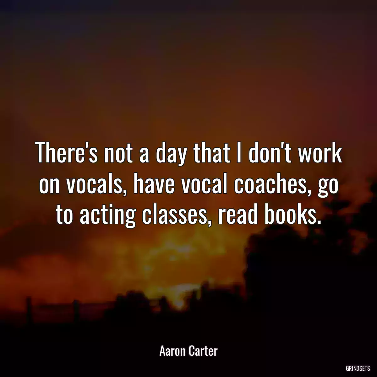 There\'s not a day that I don\'t work on vocals, have vocal coaches, go to acting classes, read books.