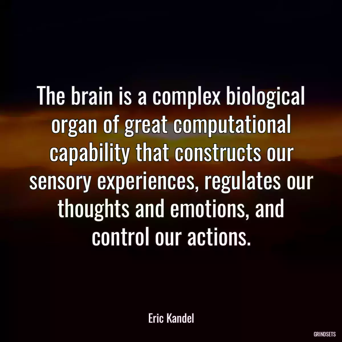 The brain is a complex biological organ of great computational capability that constructs our sensory experiences, regulates our thoughts and emotions, and control our actions.