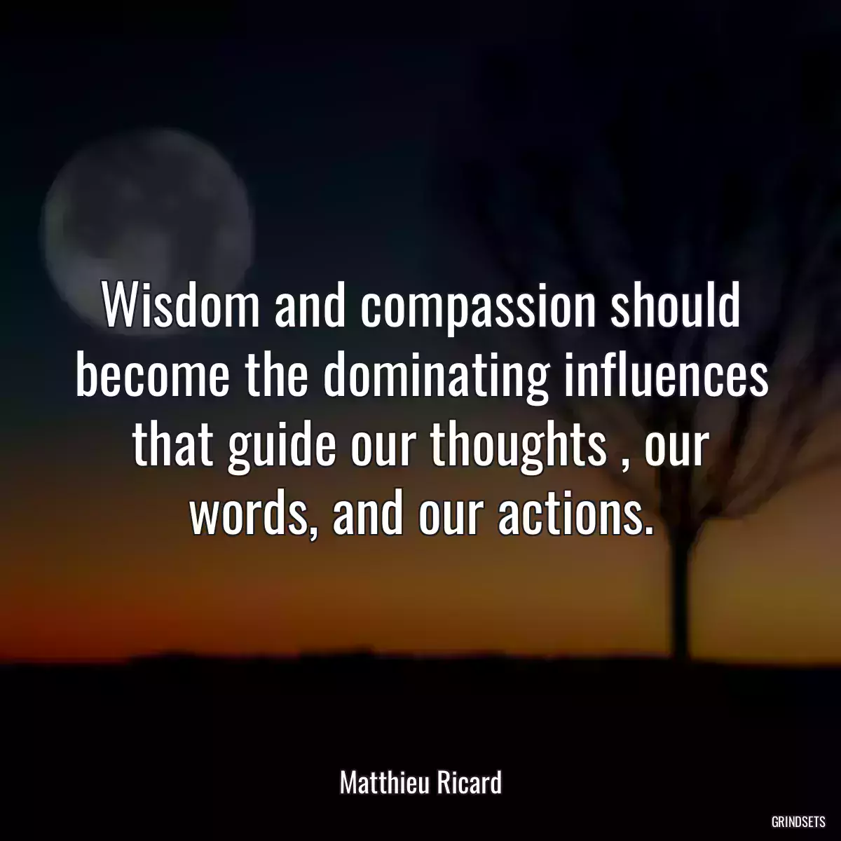 Wisdom and compassion should become the dominating influences that guide our thoughts , our words, and our actions.