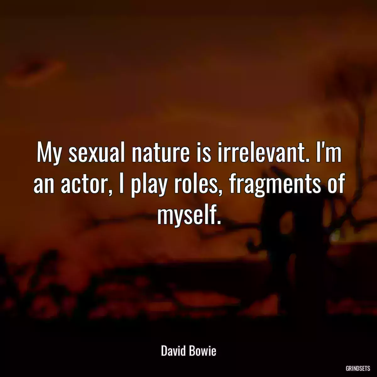 My sexual nature is irrelevant. I\'m an actor, I play roles, fragments of myself.