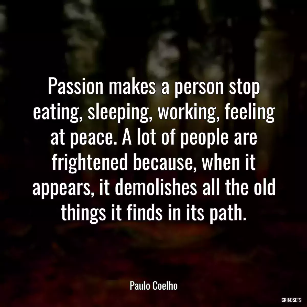 Passion makes a person stop eating, sleeping, working, feeling at peace. A lot of people are frightened because, when it appears, it demolishes all the old things it finds in its path.