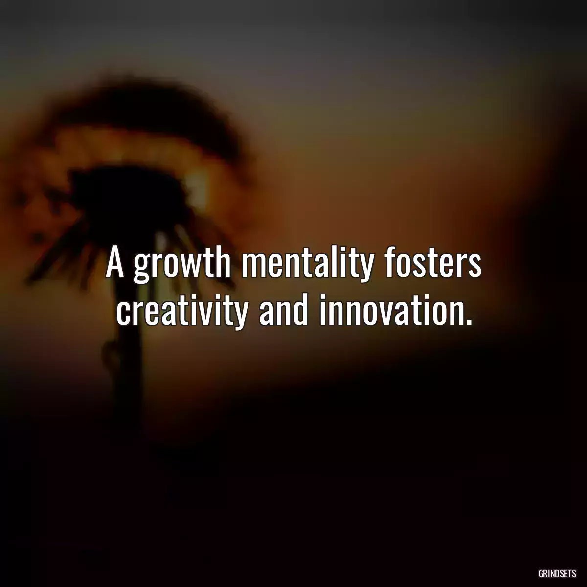 A growth mentality fosters creativity and innovation.