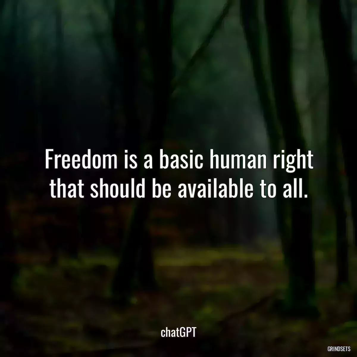 Freedom is a basic human right that should be available to all.