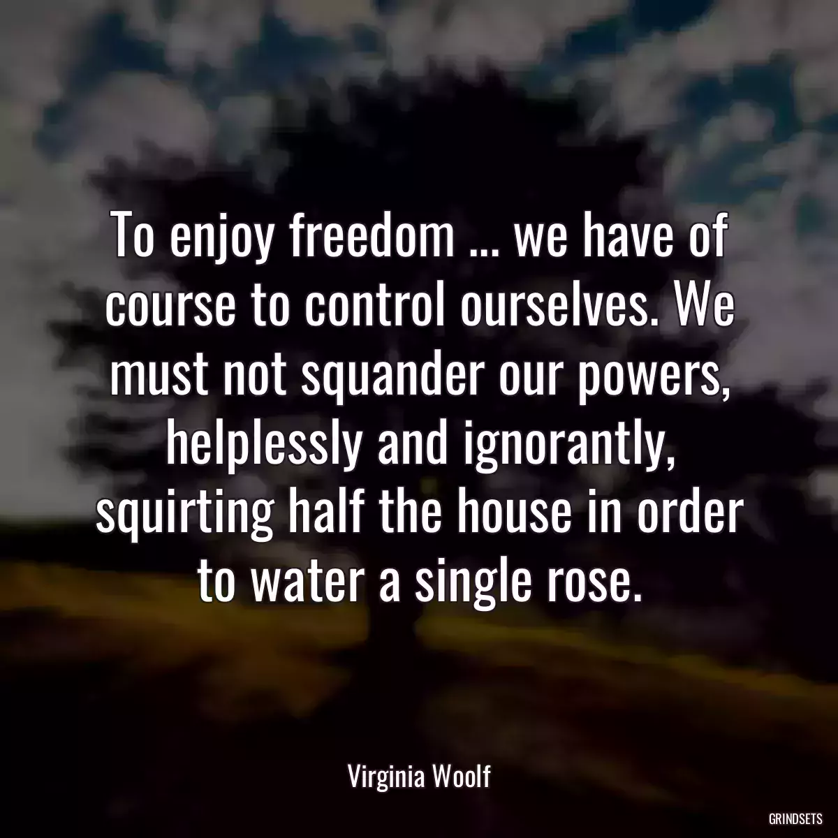 To enjoy freedom ... we have of course to control ourselves. We must not squander our powers, helplessly and ignorantly, squirting half the house in order to water a single rose.