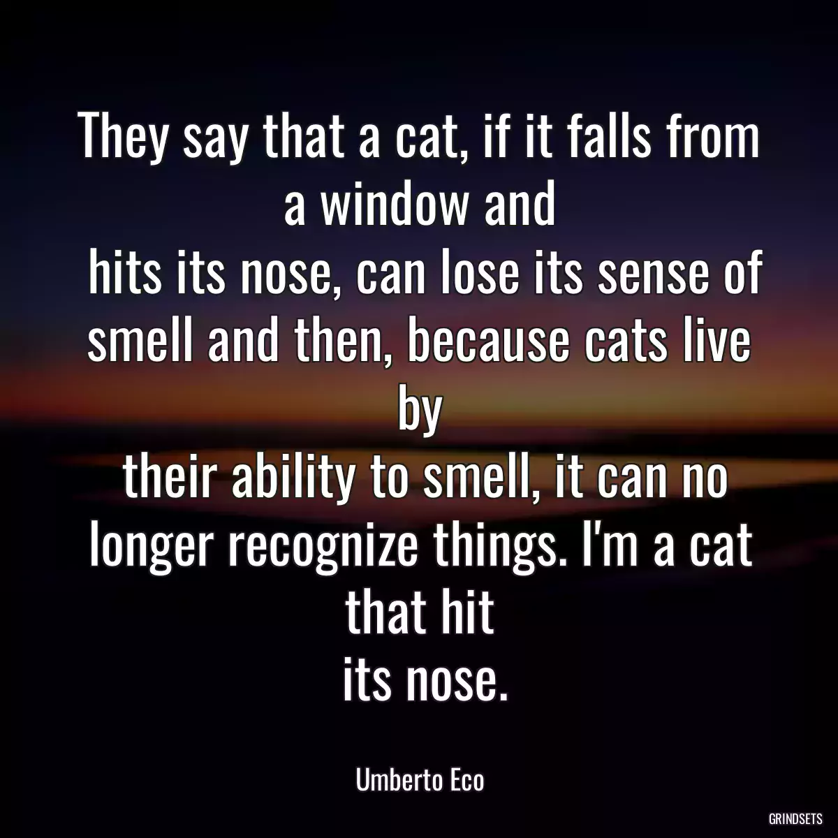 They say that a cat, if it falls from a window and
 hits its nose, can lose its sense of smell and then, because cats live by
 their ability to smell, it can no longer recognize things. I\'m a cat that hit
 its nose.