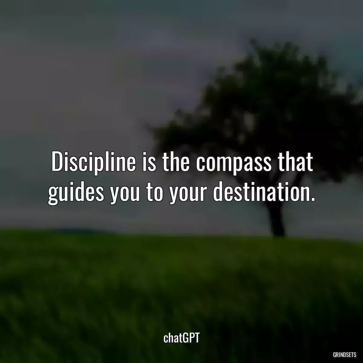 Discipline is the compass that guides you to your destination.