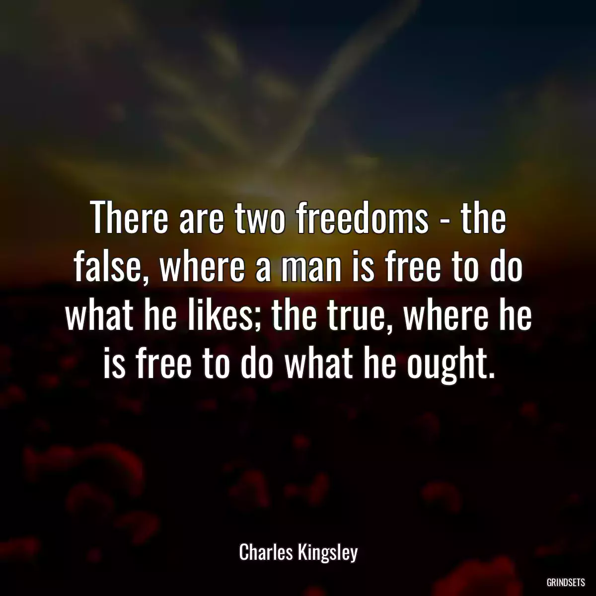 There are two freedoms - the false, where a man is free to do what he likes; the true, where he is free to do what he ought.