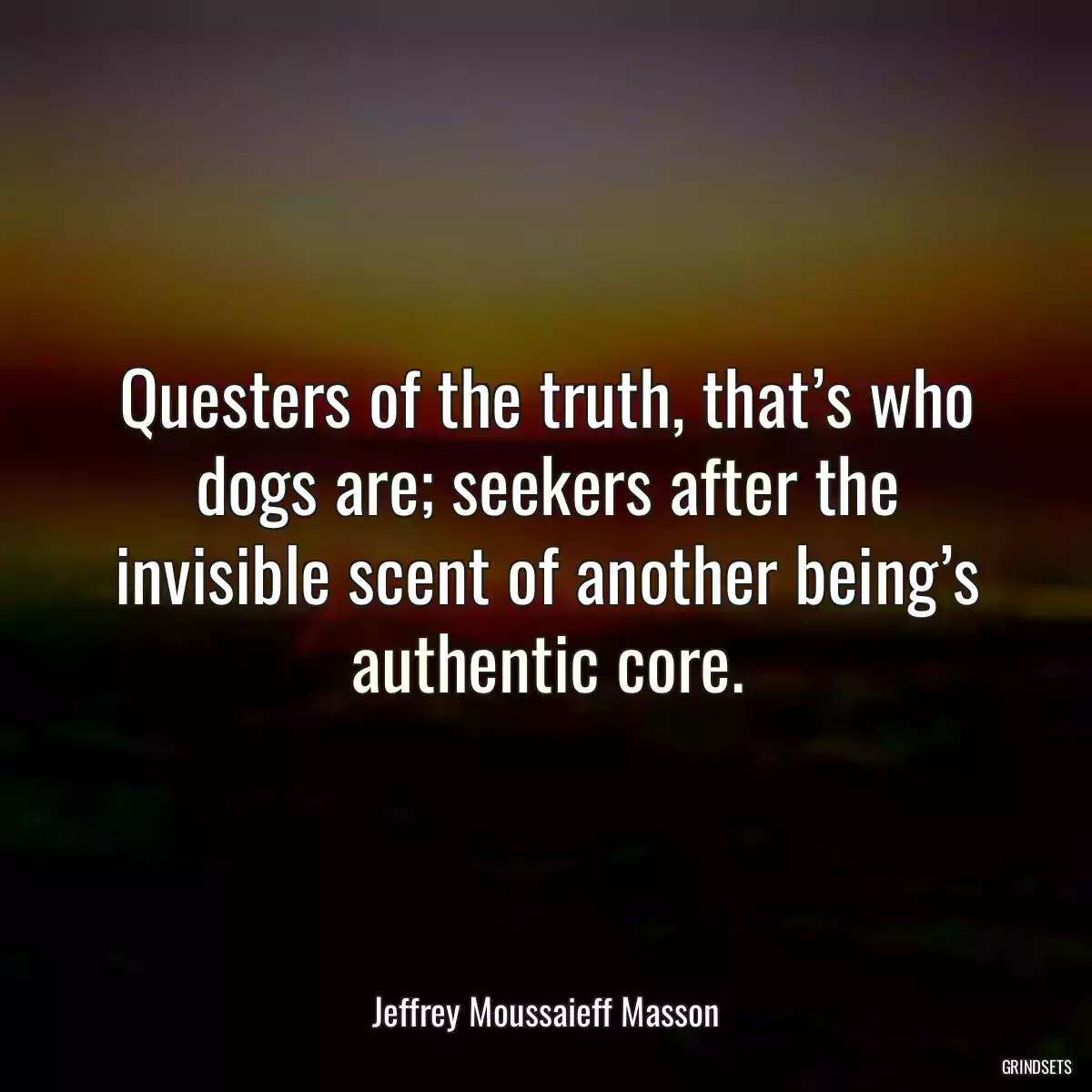 Questers of the truth, that’s who dogs are; seekers after the invisible scent of another being’s authentic core.