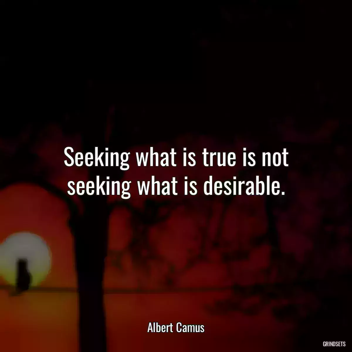 Seeking what is true is not seeking what is desirable.