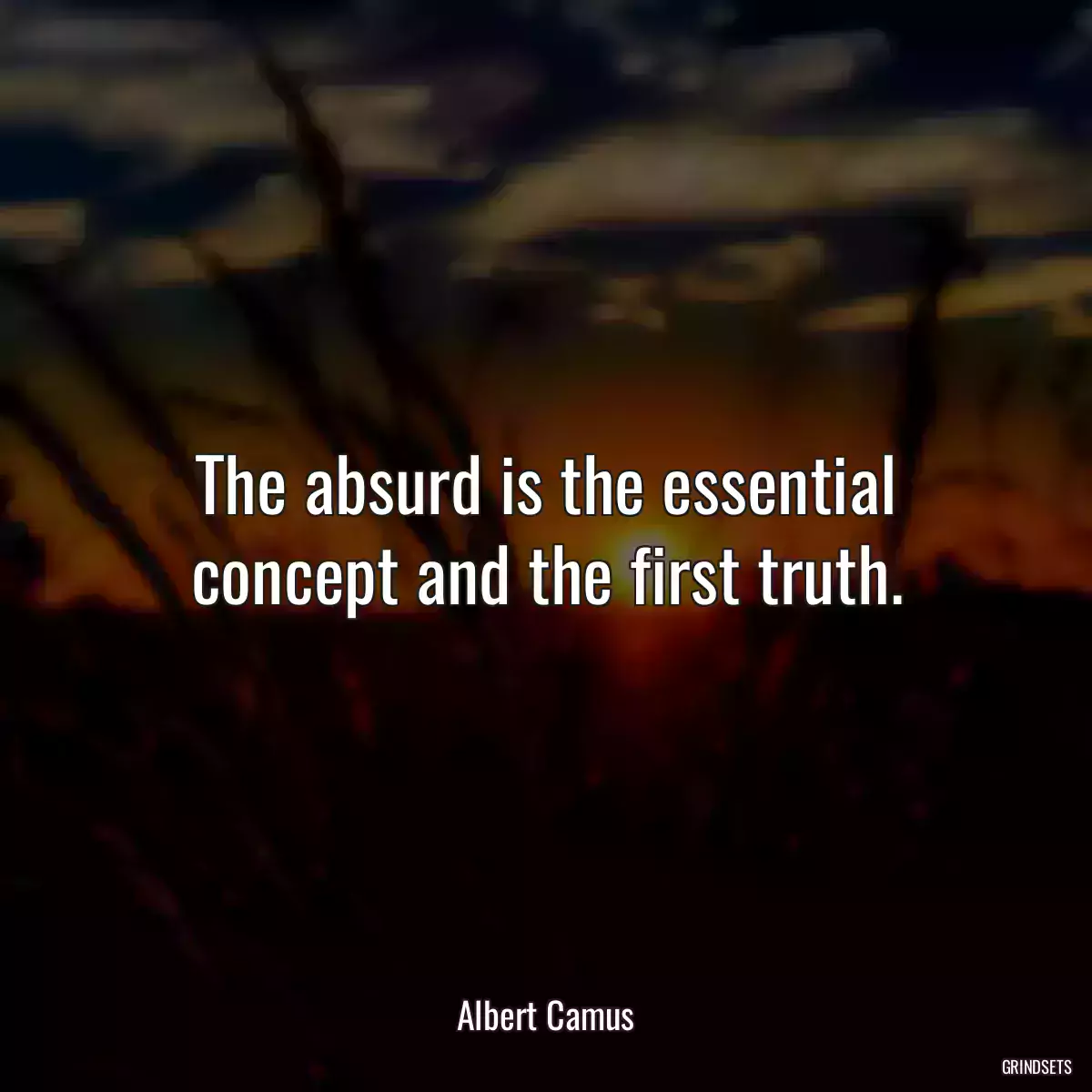 The absurd is the essential concept and the first truth.