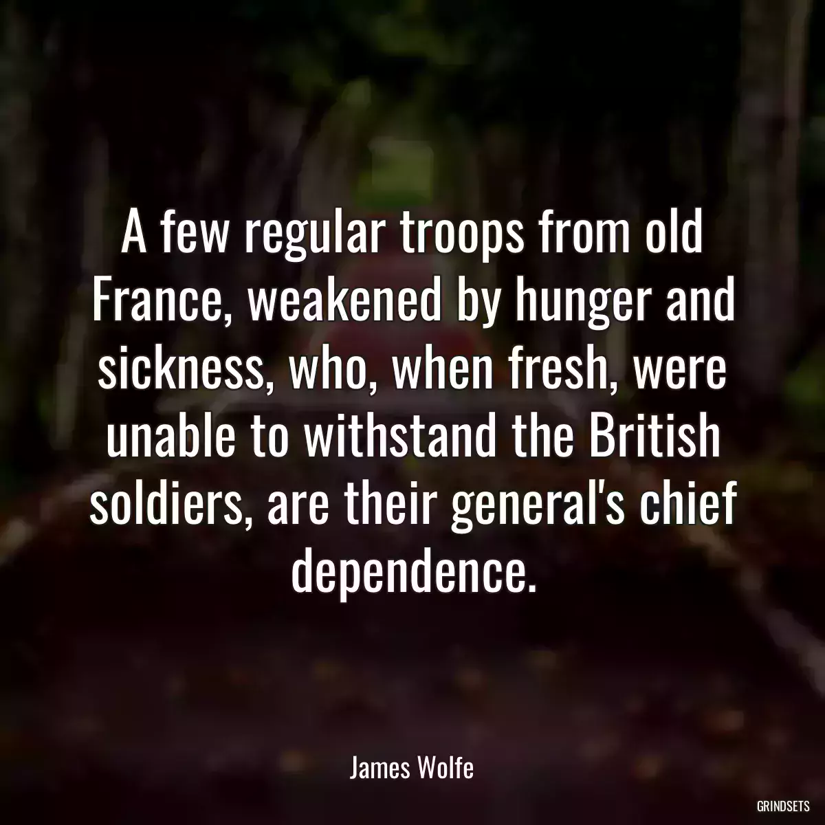 A few regular troops from old France, weakened by hunger and sickness, who, when fresh, were unable to withstand the British soldiers, are their general\'s chief dependence.