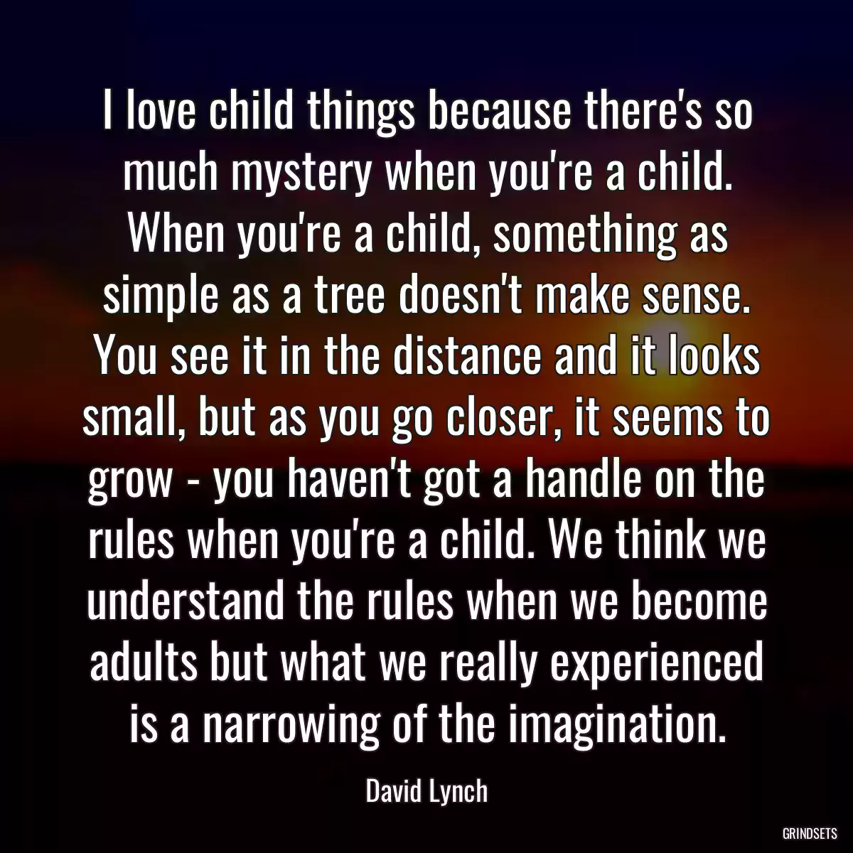 I love child things because there\'s so much mystery when you\'re a child. When you\'re a child, something as simple as a tree doesn\'t make sense. You see it in the distance and it looks small, but as you go closer, it seems to grow - you haven\'t got a handle on the rules when you\'re a child. We think we understand the rules when we become adults but what we really experienced is a narrowing of the imagination.