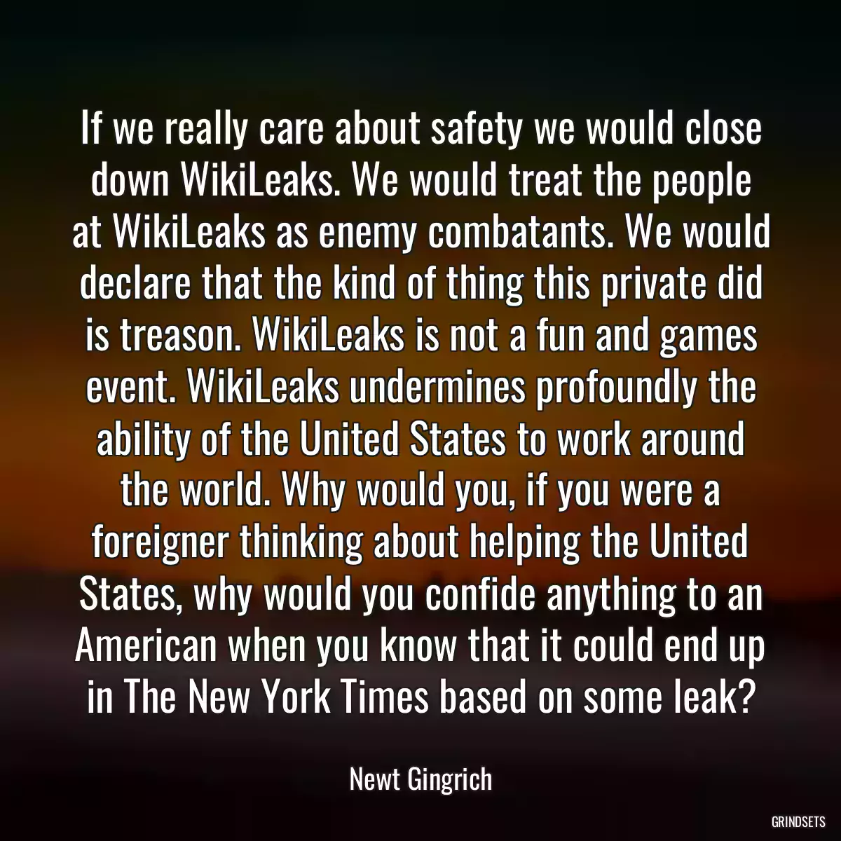 If we really care about safety we would close down WikiLeaks. We would treat the people at WikiLeaks as enemy combatants. We would declare that the kind of thing this private did is treason. WikiLeaks is not a fun and games event. WikiLeaks undermines profoundly the ability of the United States to work around the world. Why would you, if you were a foreigner thinking about helping the United States, why would you confide anything to an American when you know that it could end up in The New York Times based on some leak?