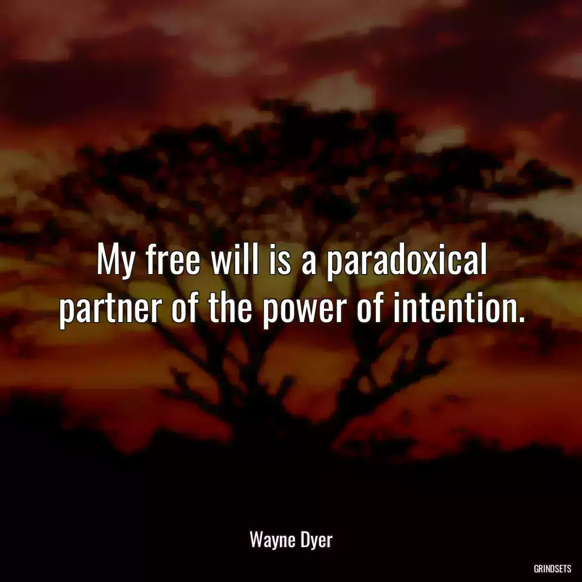 My free will is a paradoxical partner of the power of intention.