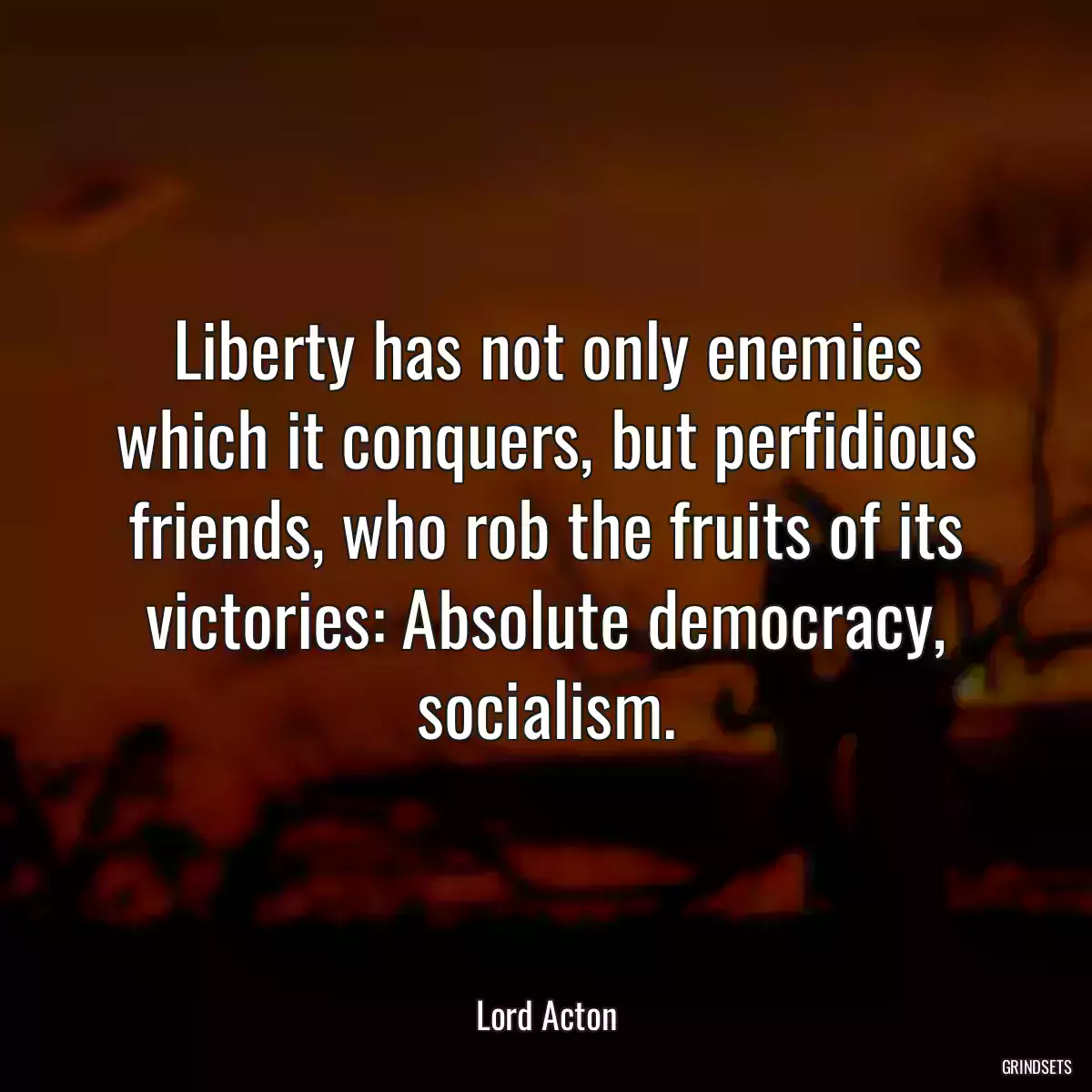 Liberty has not only enemies which it conquers, but perfidious friends, who rob the fruits of its victories: Absolute democracy, socialism.