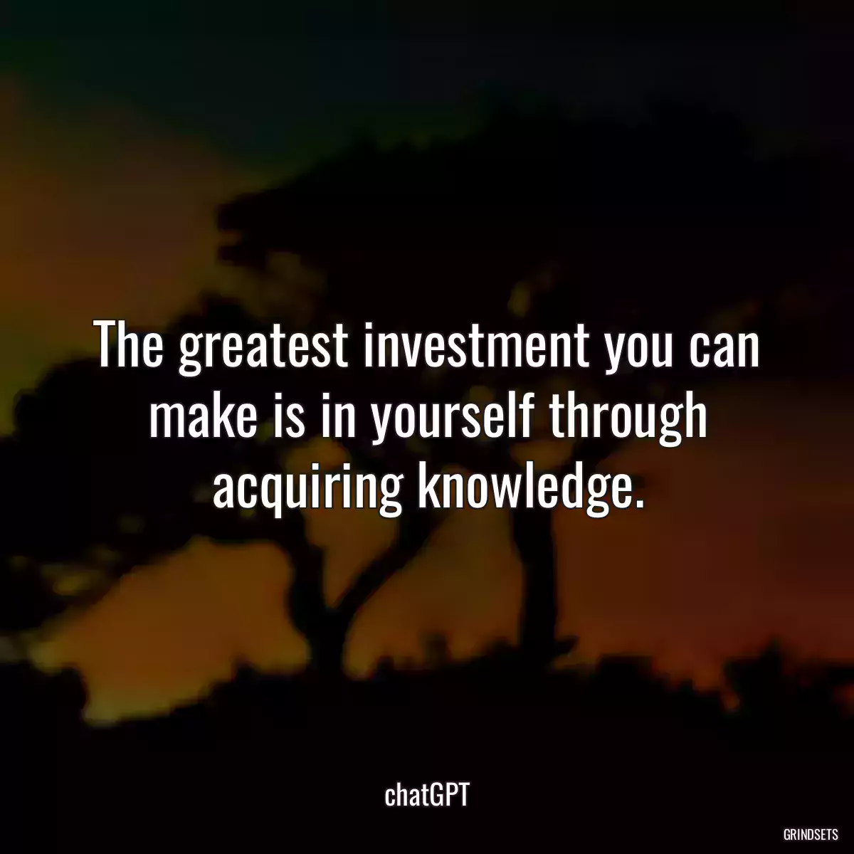 The greatest investment you can make is in yourself through acquiring knowledge.