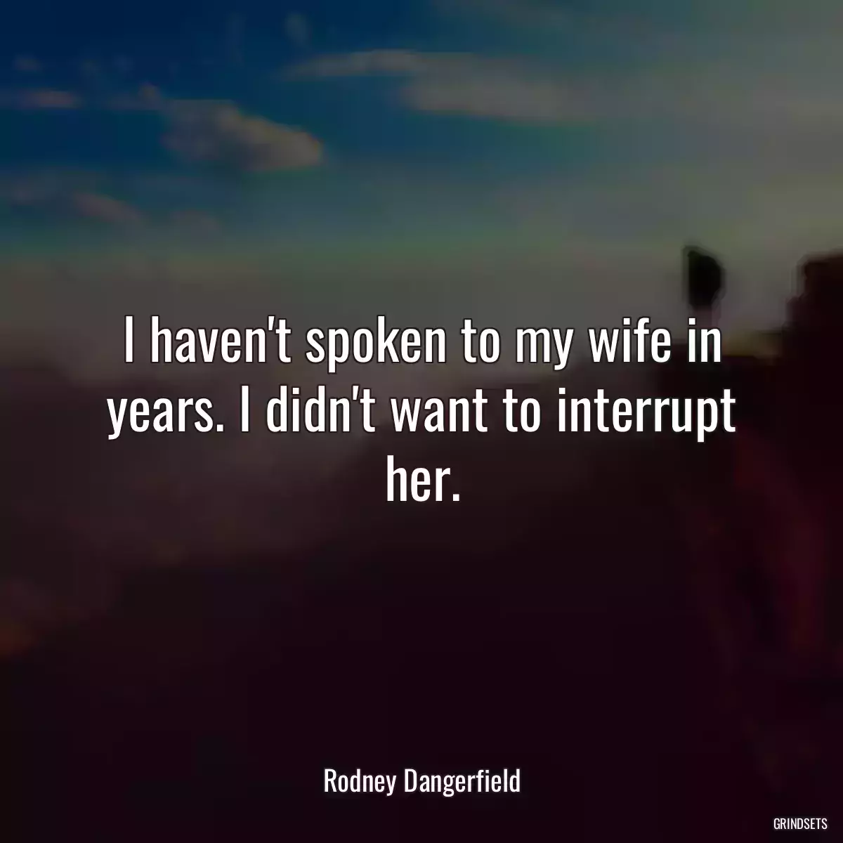 I haven\'t spoken to my wife in years. I didn\'t want to interrupt her.