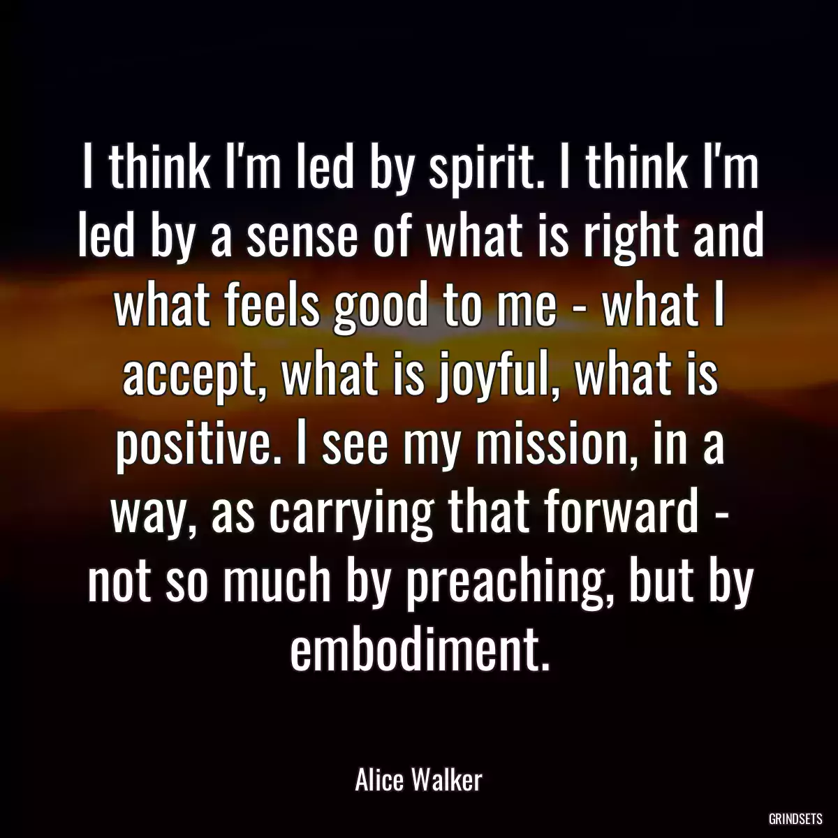 I think I\'m led by spirit. I think I\'m led by a sense of what is right and what feels good to me - what I accept, what is joyful, what is positive. I see my mission, in a way, as carrying that forward - not so much by preaching, but by embodiment.