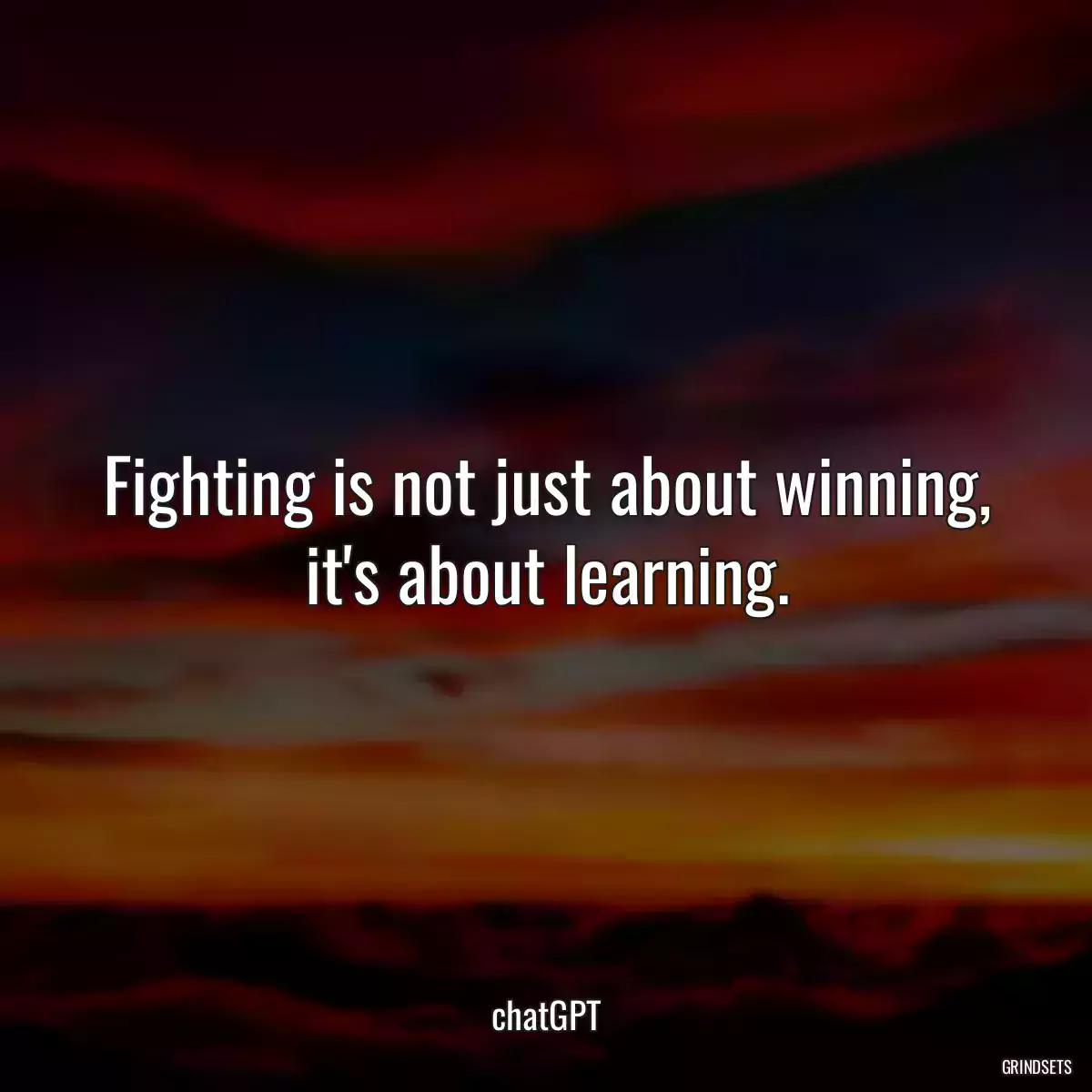 Fighting is not just about winning, it\'s about learning.