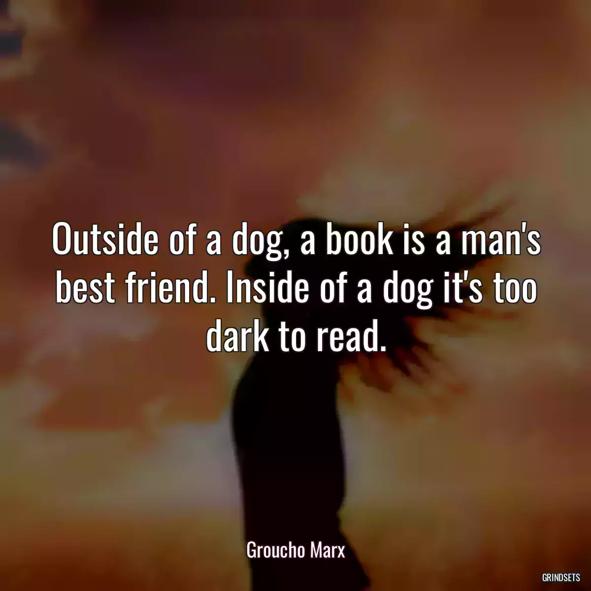 Outside of a dog, a book is a man\'s best friend. Inside of a dog it\'s too dark to read.