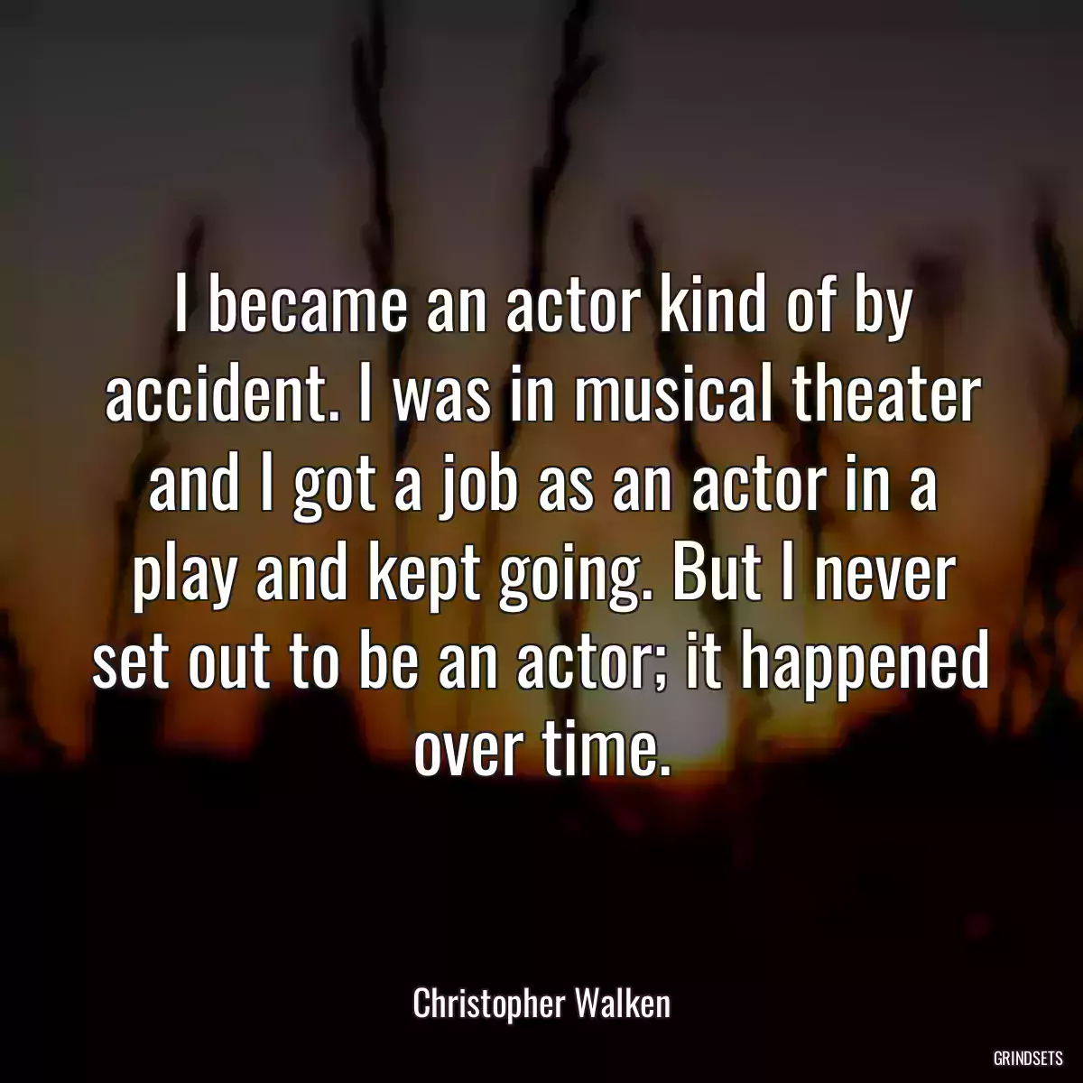 I became an actor kind of by accident. I was in musical theater and I got a job as an actor in a play and kept going. But I never set out to be an actor; it happened over time.