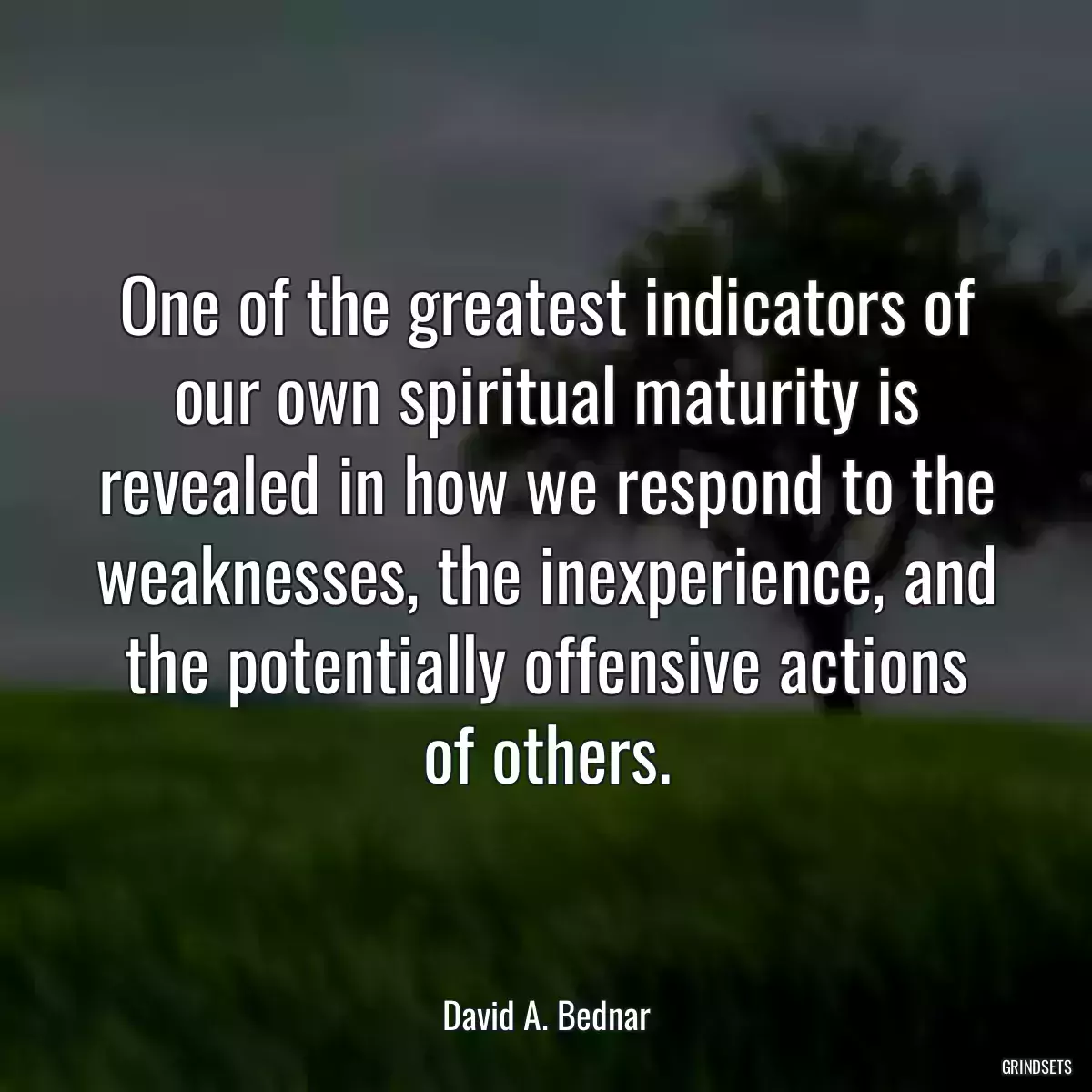 One of the greatest indicators of our own spiritual maturity is revealed in how we respond to the weaknesses, the inexperience, and the potentially offensive actions of others.