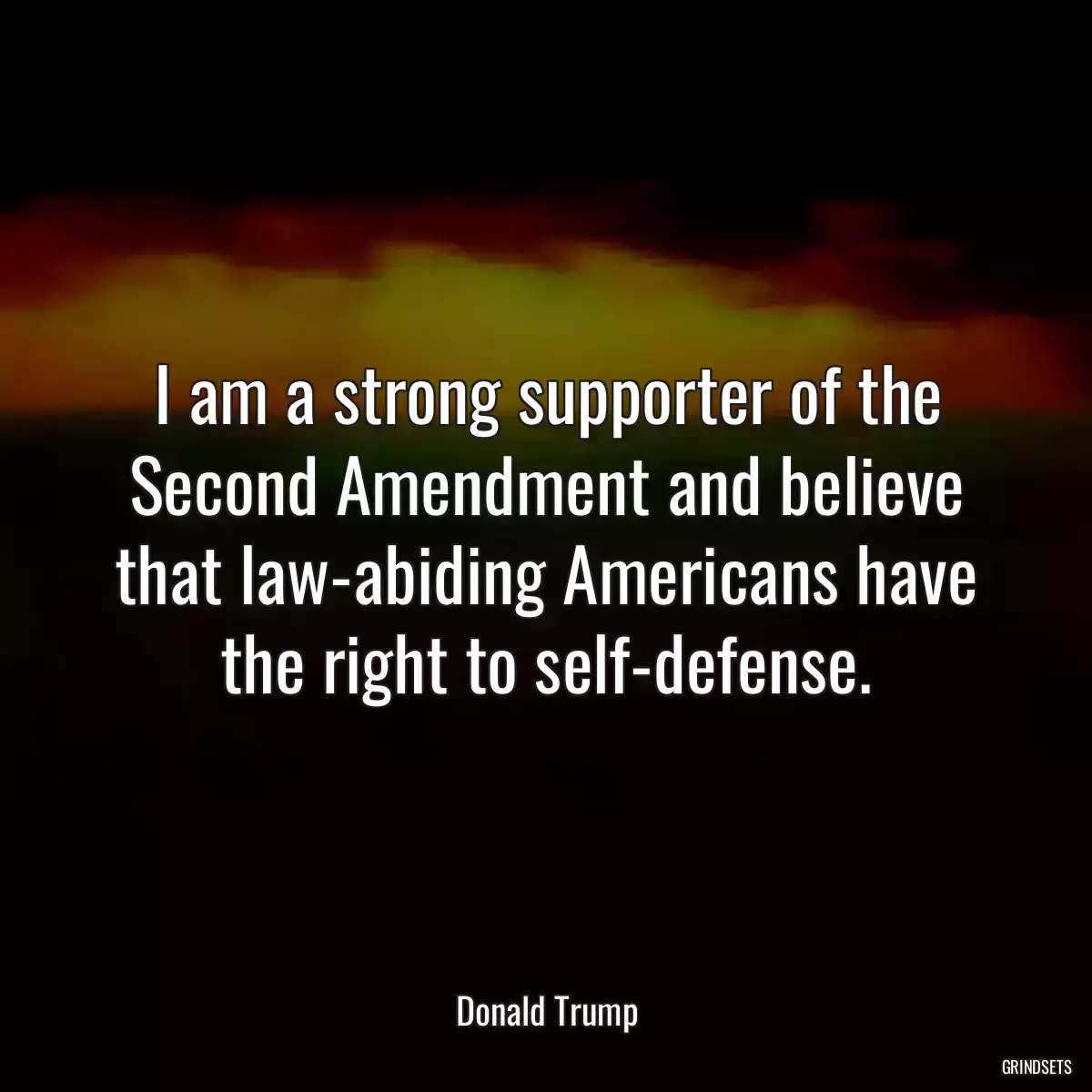 I am a strong supporter of the Second Amendment and believe that law-abiding Americans have the right to self-defense.