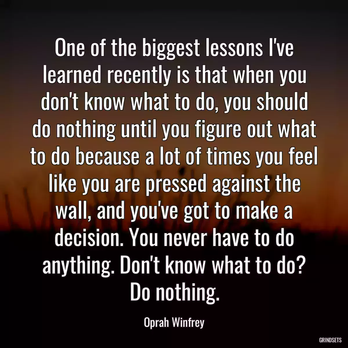 One of the biggest lessons I\'ve learned recently is that when you don\'t know what to do, you should do nothing until you figure out what to do because a lot of times you feel like you are pressed against the wall, and you\'ve got to make a decision. You never have to do anything. Don\'t know what to do? Do nothing.