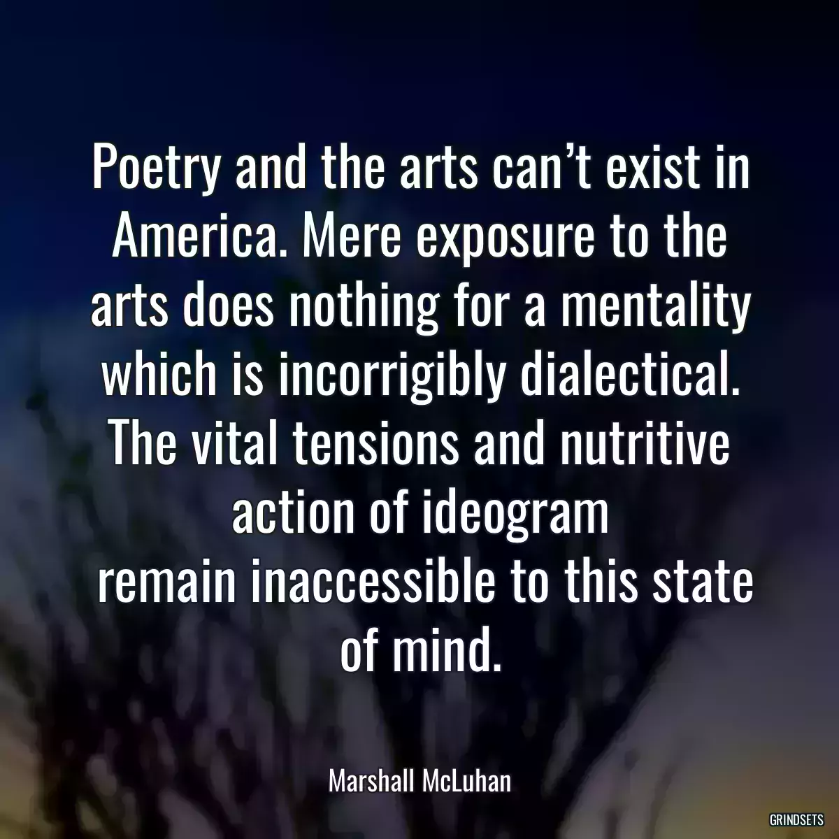 Poetry and the arts can’t exist in America. Mere exposure to the arts does nothing for a mentality which is incorrigibly dialectical. The vital tensions and nutritive action of ideogram
 remain inaccessible to this state of mind.