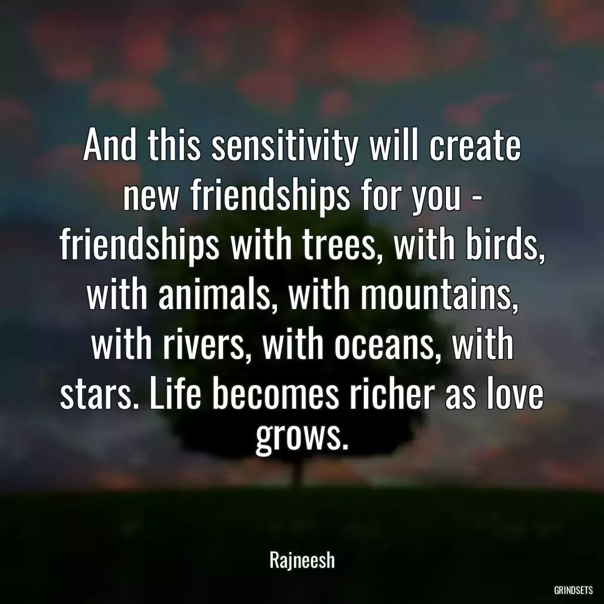 And this sensitivity will create new friendships for you - friendships with trees, with birds, with animals, with mountains, with rivers, with oceans, with stars. Life becomes richer as love grows.