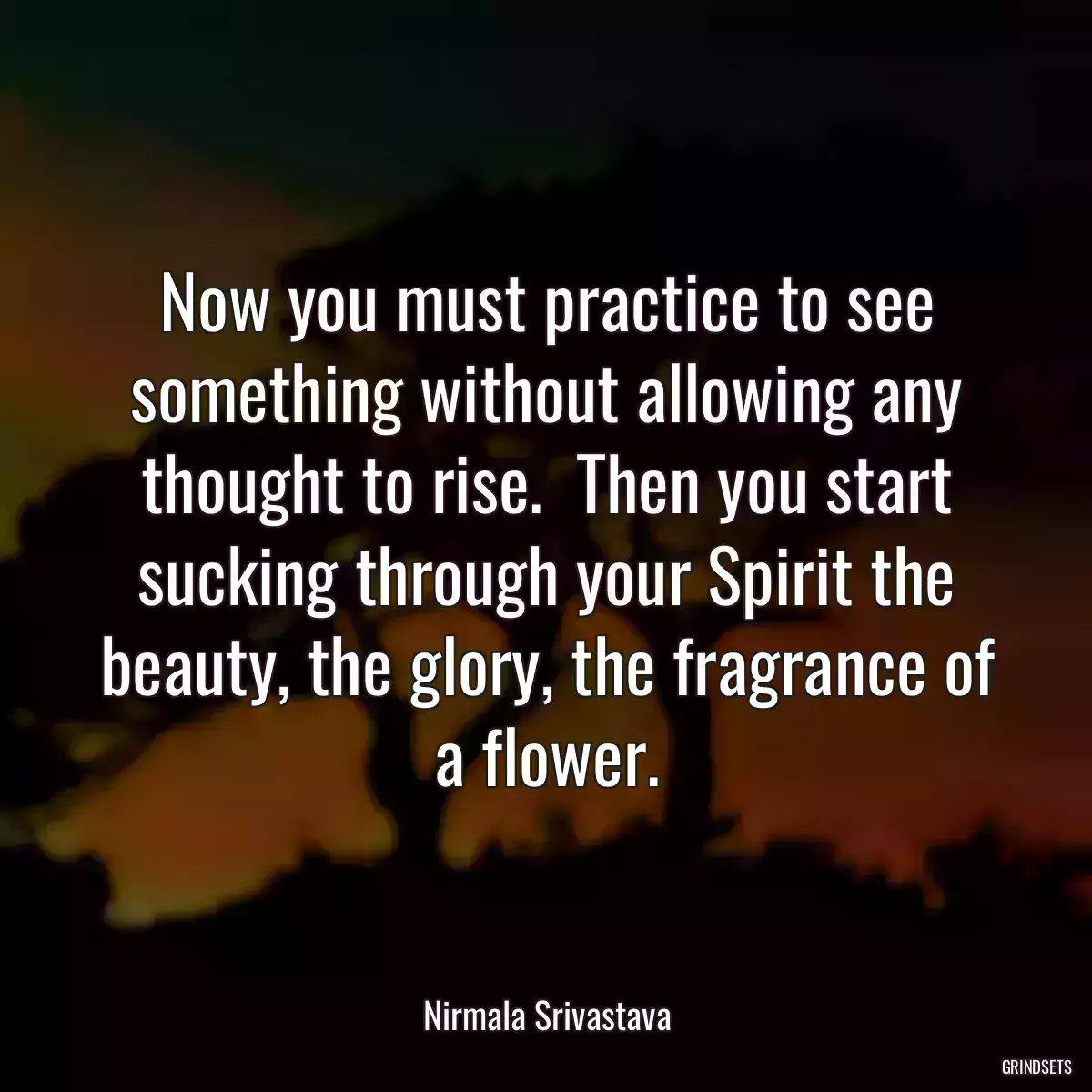 Now you must practice to see something without allowing any thought to rise.  Then you start sucking through your Spirit the beauty, the glory, the fragrance of a flower.