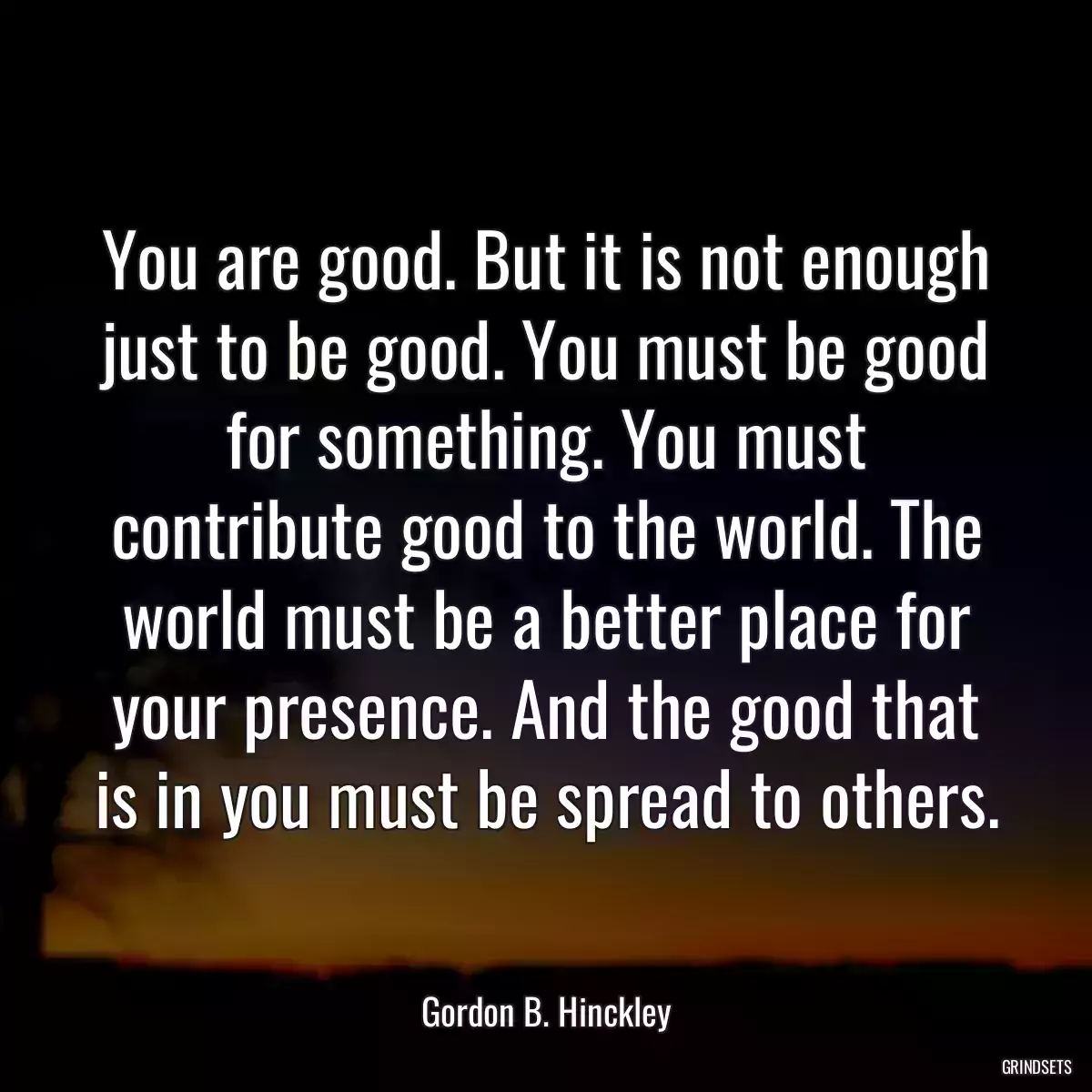 You are good. But it is not enough just to be good. You must be good for something. You must contribute good to the world. The world must be a better place for your presence. And the good that is in you must be spread to others.