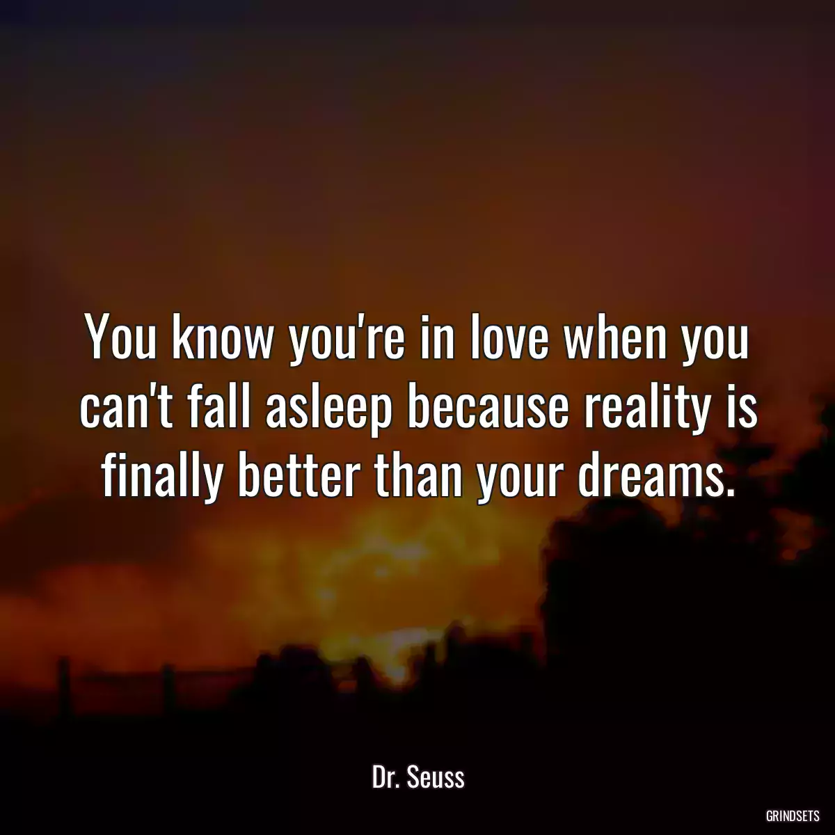 You know you\'re in love when you can\'t fall asleep because reality is finally better than your dreams.