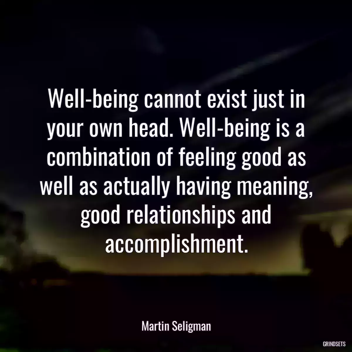 Well-being cannot exist just in your own head. Well-being is a combination of feeling good as well as actually having meaning, good relationships and accomplishment.