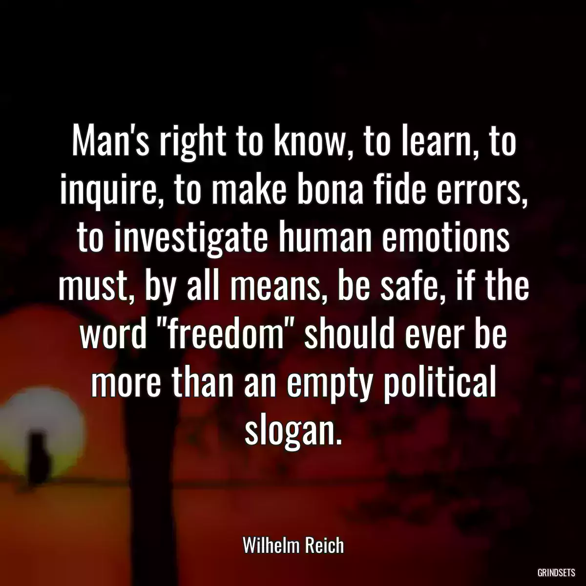Man\'s right to know, to learn, to inquire, to make bona fide errors, to investigate human emotions must, by all means, be safe, if the word \