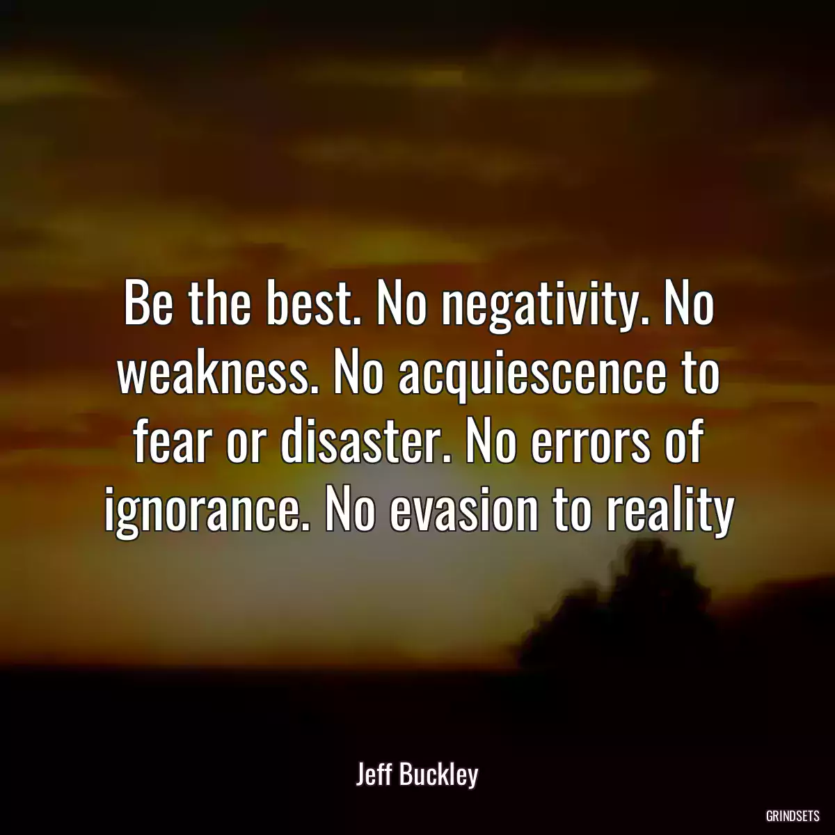 Be the best. No negativity. No weakness. No acquiescence to fear or disaster. No errors of ignorance. No evasion to reality