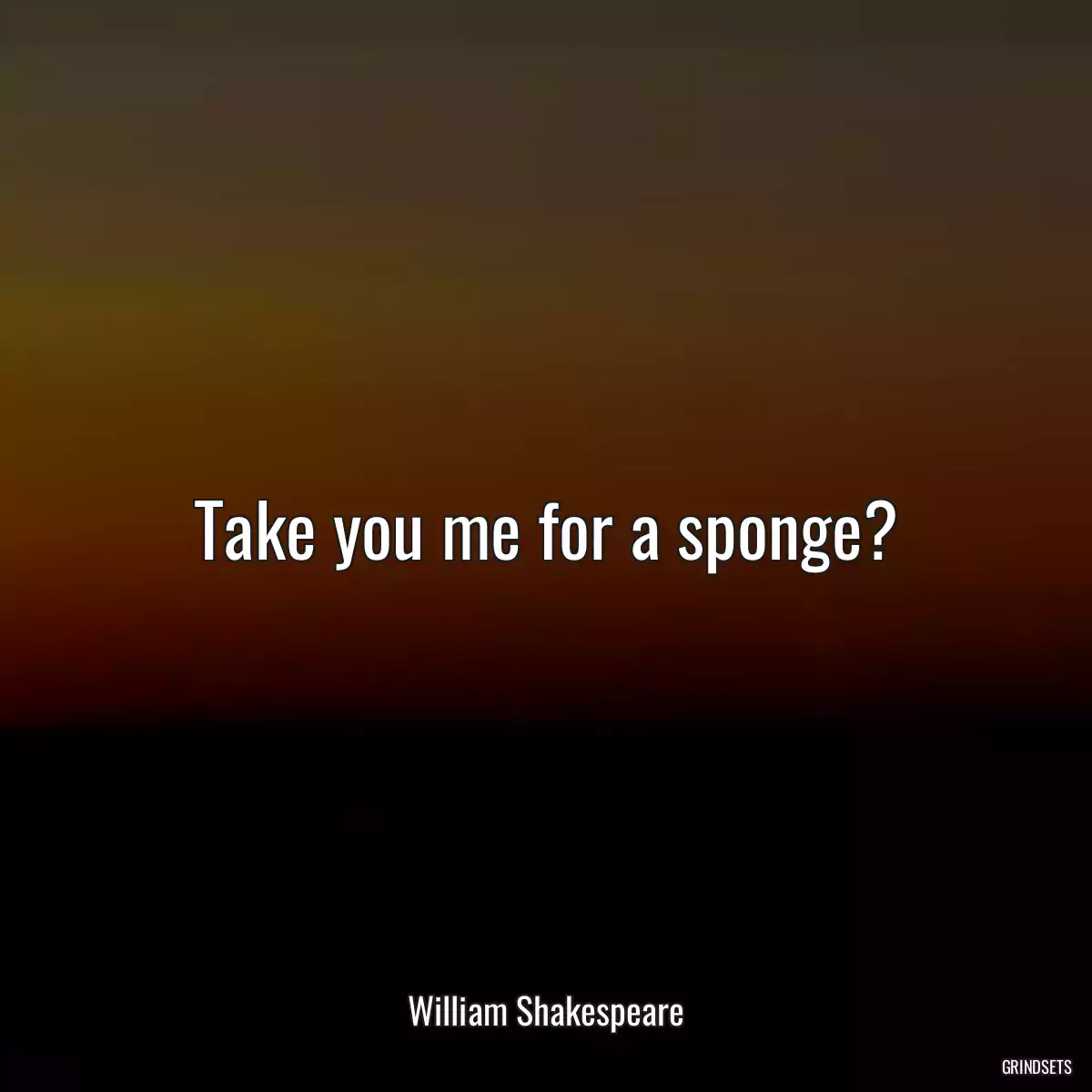 Take you me for a sponge?