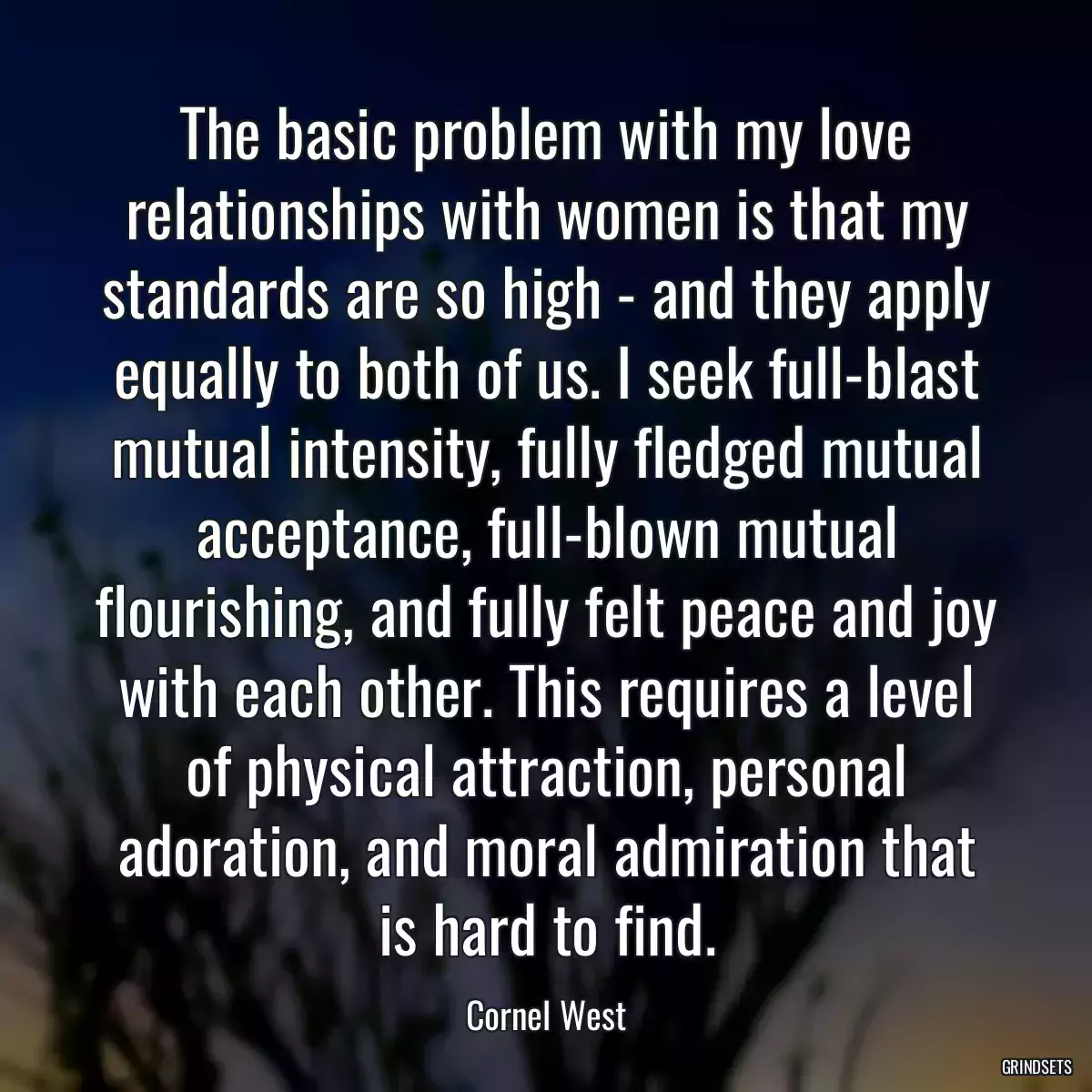 The basic problem with my love relationships with women is that my standards are so high - and they apply equally to both of us. I seek full-blast mutual intensity, fully fledged mutual acceptance, full-blown mutual flourishing, and fully felt peace and joy with each other. This requires a level of physical attraction, personal adoration, and moral admiration that is hard to find.