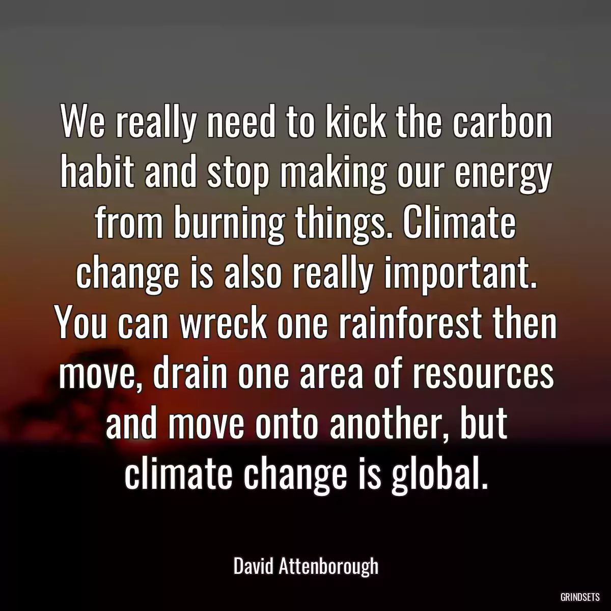 We really need to kick the carbon habit and stop making our energy from burning things. Climate change is also really important. You can wreck one rainforest then move, drain one area of resources and move onto another, but climate change is global.