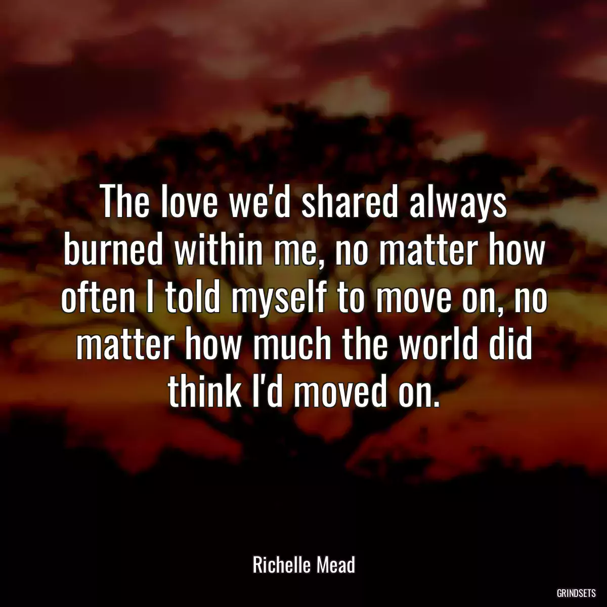 The love we\'d shared always burned within me, no matter how often I told myself to move on, no matter how much the world did think I\'d moved on.