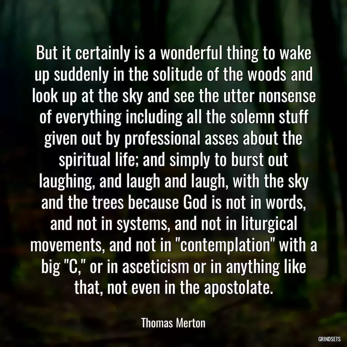 But it certainly is a wonderful thing to wake up suddenly in the solitude of the woods and look up at the sky and see the utter nonsense of everything including all the solemn stuff given out by professional asses about the spiritual life; and simply to burst out laughing, and laugh and laugh, with the sky and the trees because God is not in words, and not in systems, and not in liturgical movements, and not in \