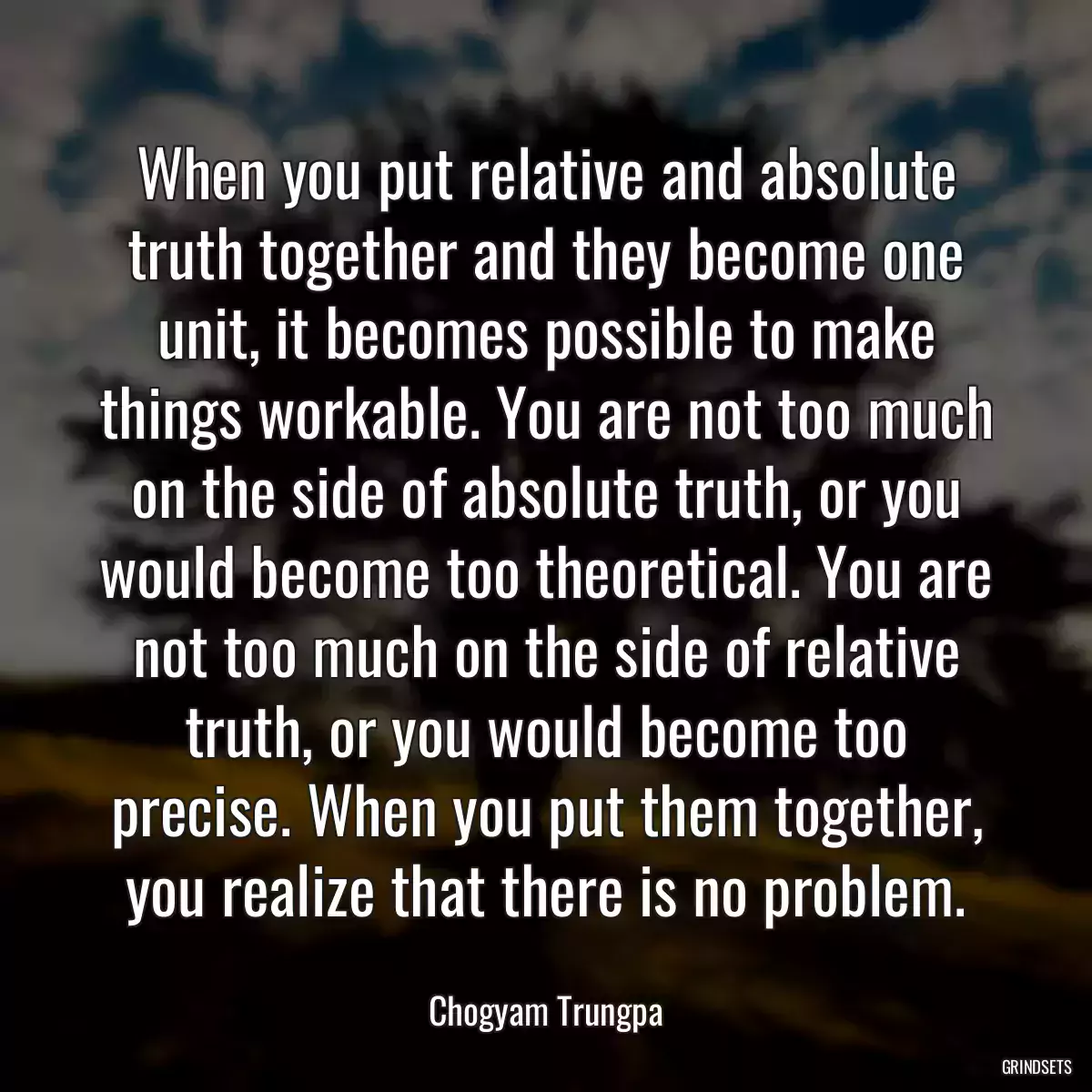 When you put relative and absolute truth together and they become one unit, it becomes possible to make things workable. You are not too much on the side of absolute truth, or you would become too theoretical. You are not too much on the side of relative truth, or you would become too precise. When you put them together, you realize that there is no problem.