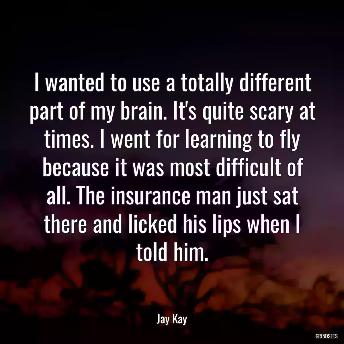 I wanted to use a totally different part of my brain. It\'s quite scary at times. I went for learning to fly because it was most difficult of all. The insurance man just sat there and licked his lips when I told him.