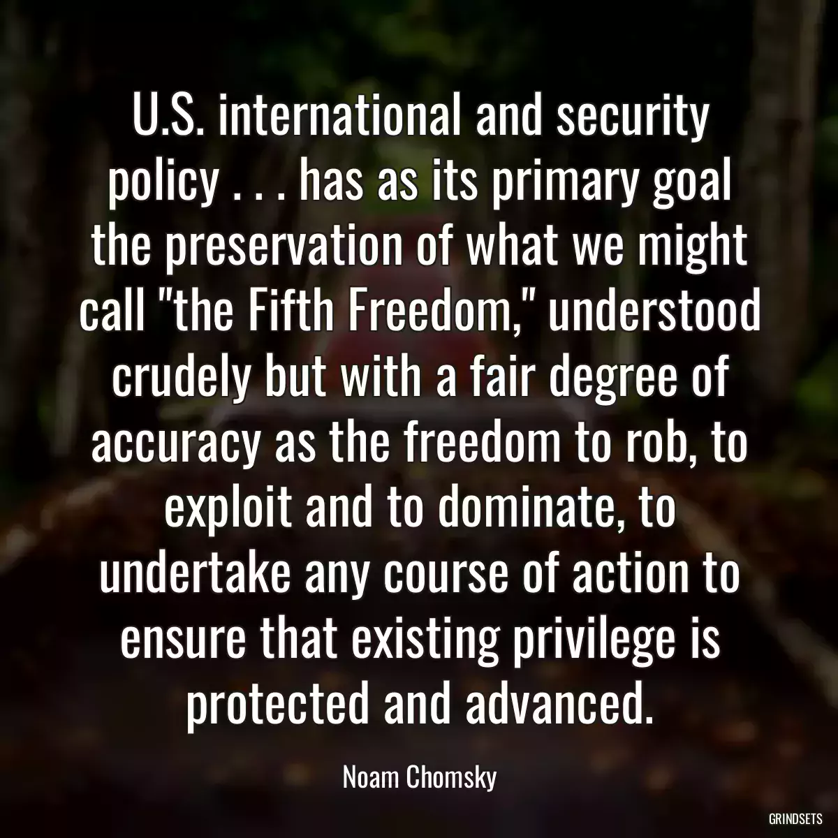 U.S. international and security policy . . . has as its primary goal the preservation of what we might call \