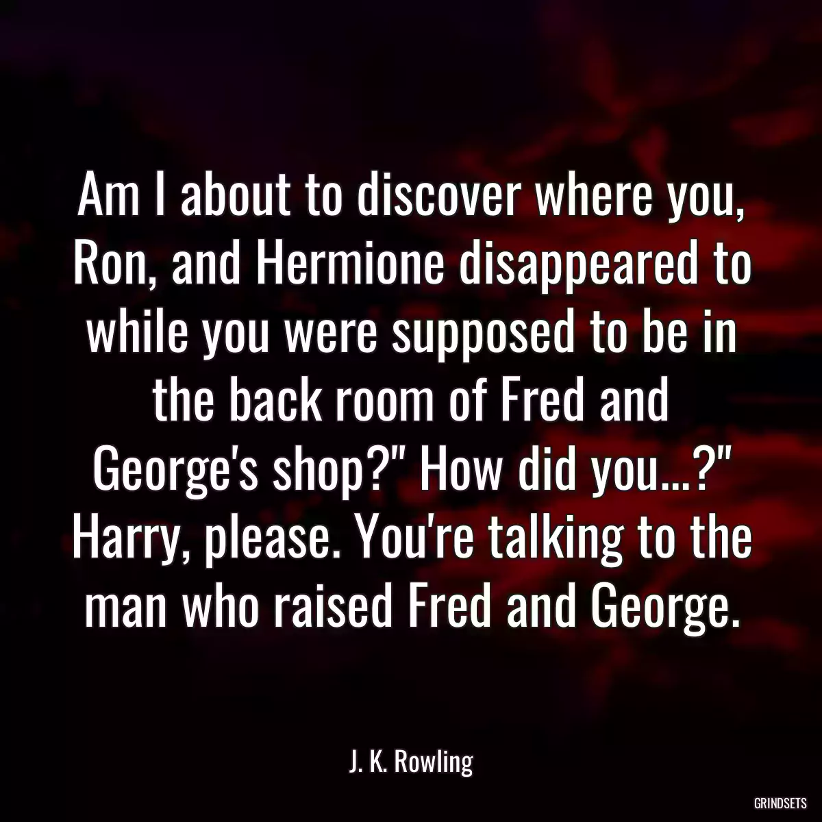 Am I about to discover where you, Ron, and Hermione disappeared to while you were supposed to be in the back room of Fred and George\'s shop?\