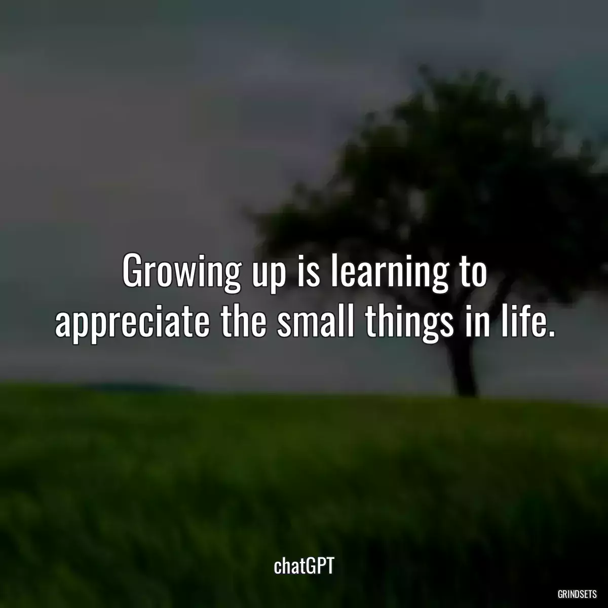 Growing up is learning to appreciate the small things in life.