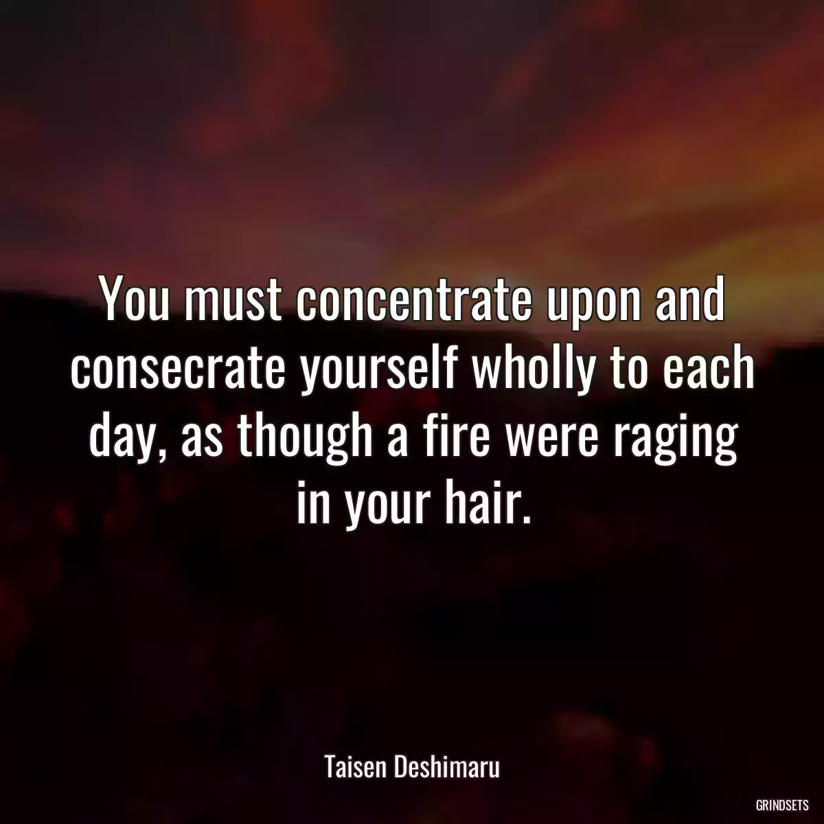 You must concentrate upon and consecrate yourself wholly to each day, as though a fire were raging in your hair.