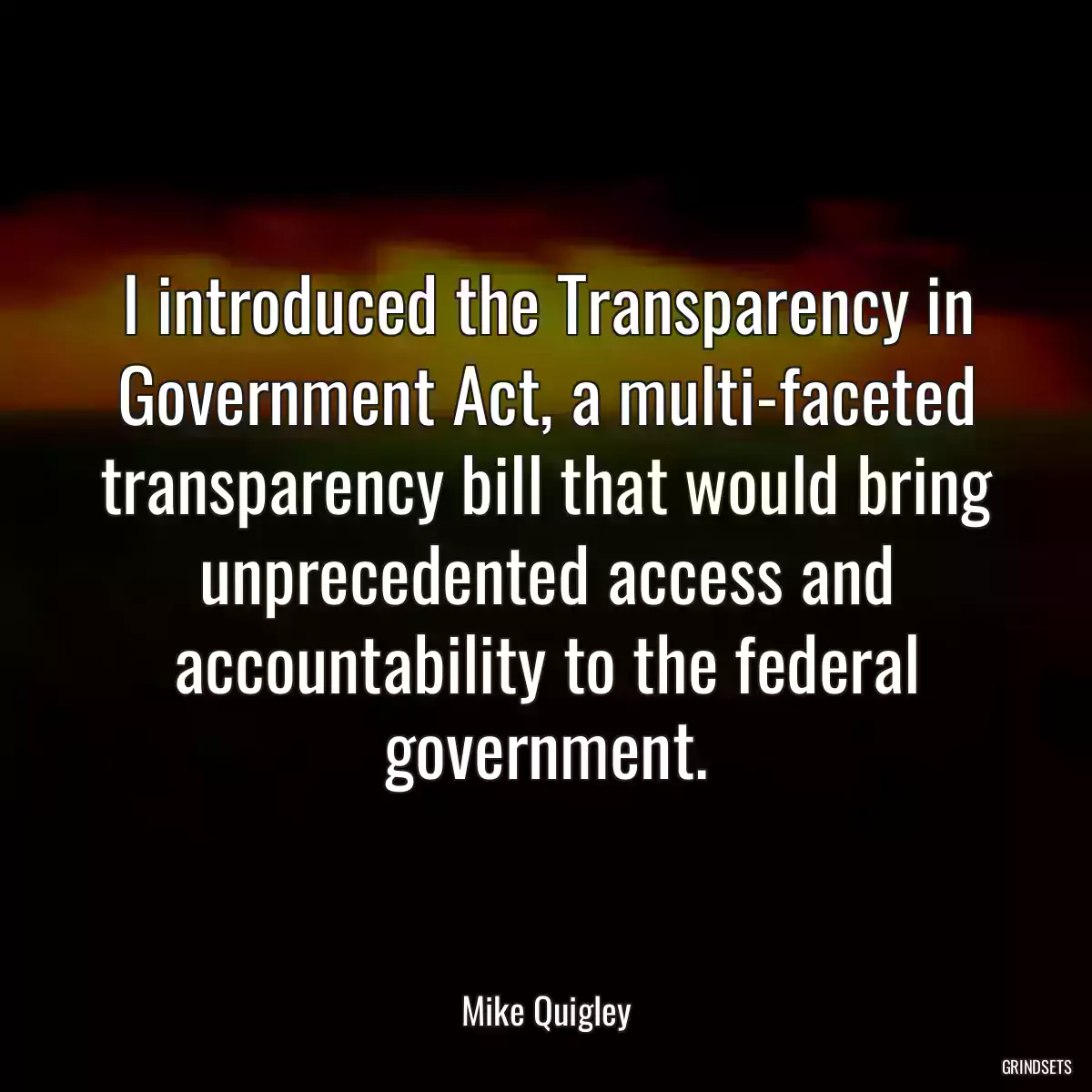 I introduced the Transparency in Government Act, a multi-faceted transparency bill that would bring unprecedented access and accountability to the federal government.